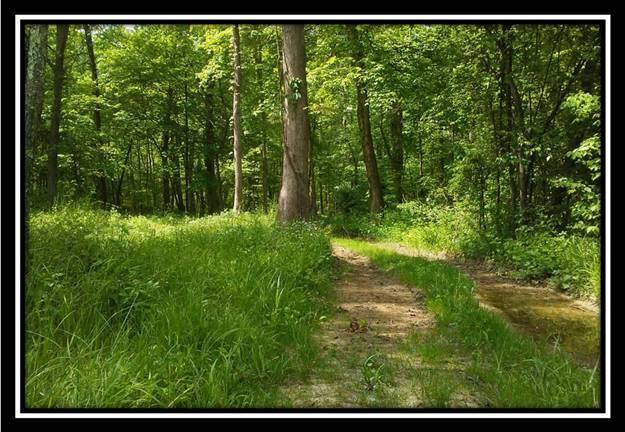 6221 Via-Ken Road Hopewell, OH 43746 - Photo 9 of 13
