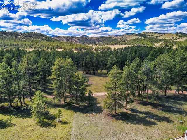 257 Sioux Road Florissant, CO 80816 - Photo 5 of 27 Gallery Image 5