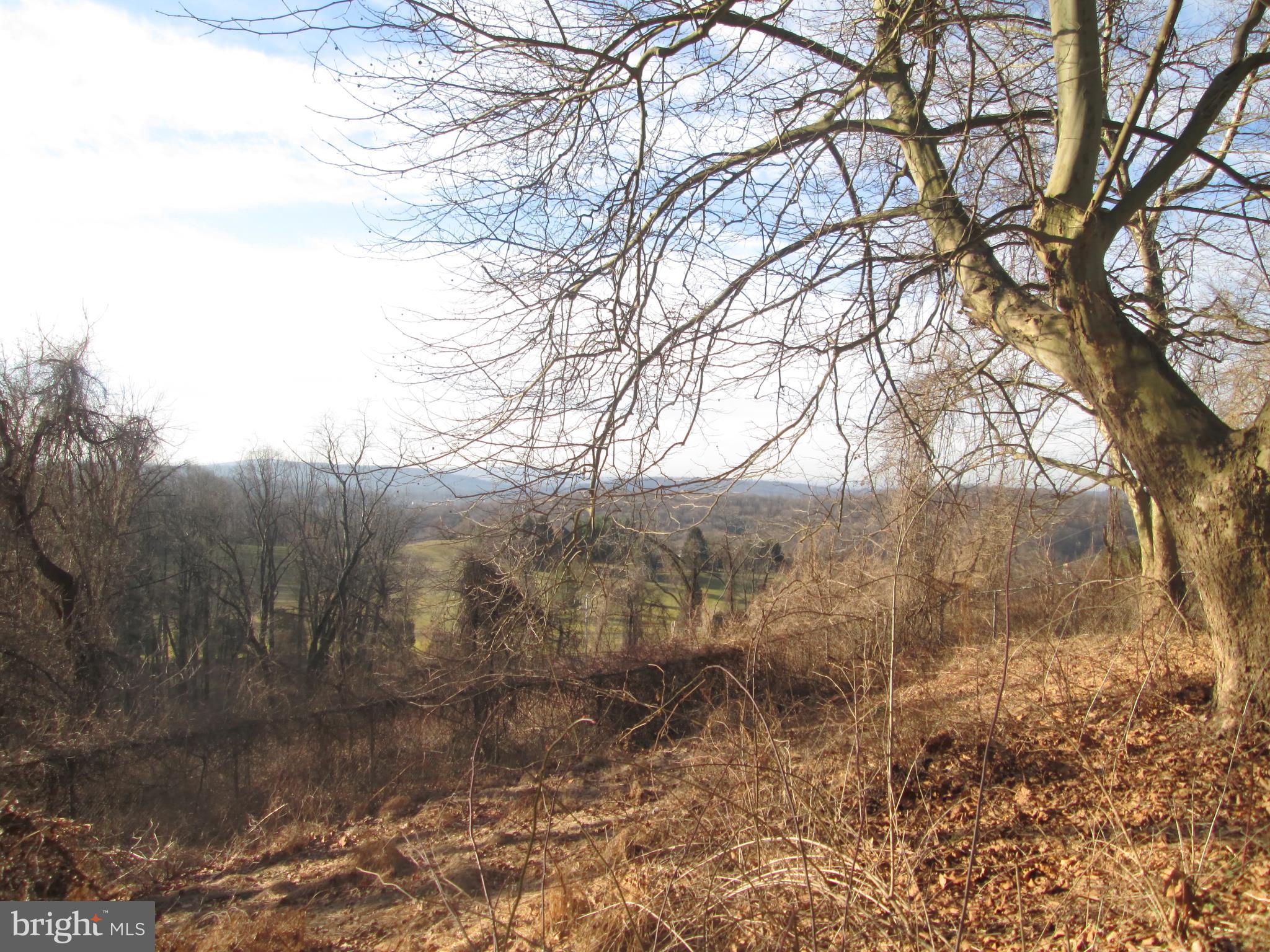 12 Club Road Wernersville, PA 19565 - Photo 13 of 27 View