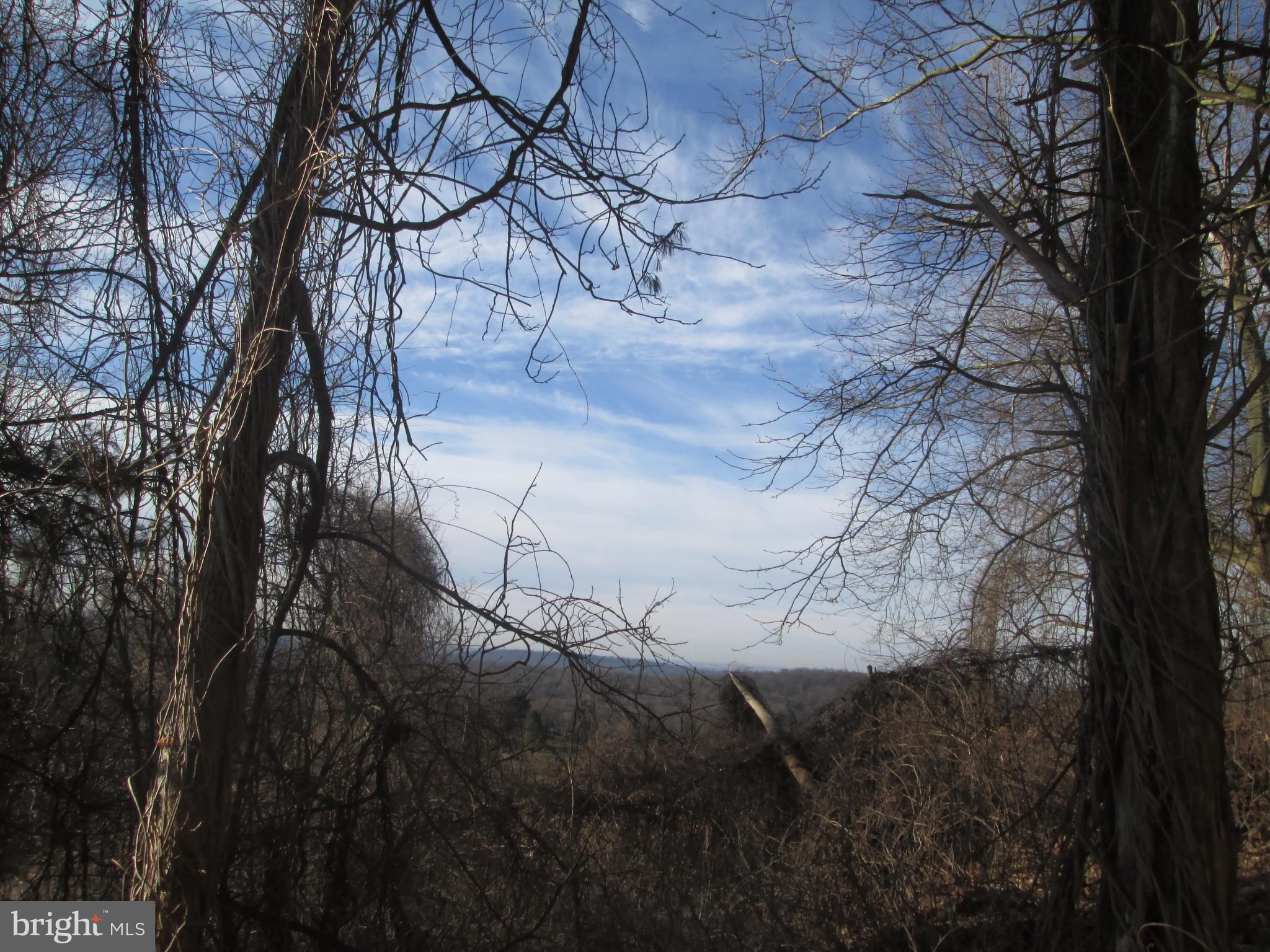 12 Club Road Wernersville, PA 19565 - Photo 15 of 27 View from deck