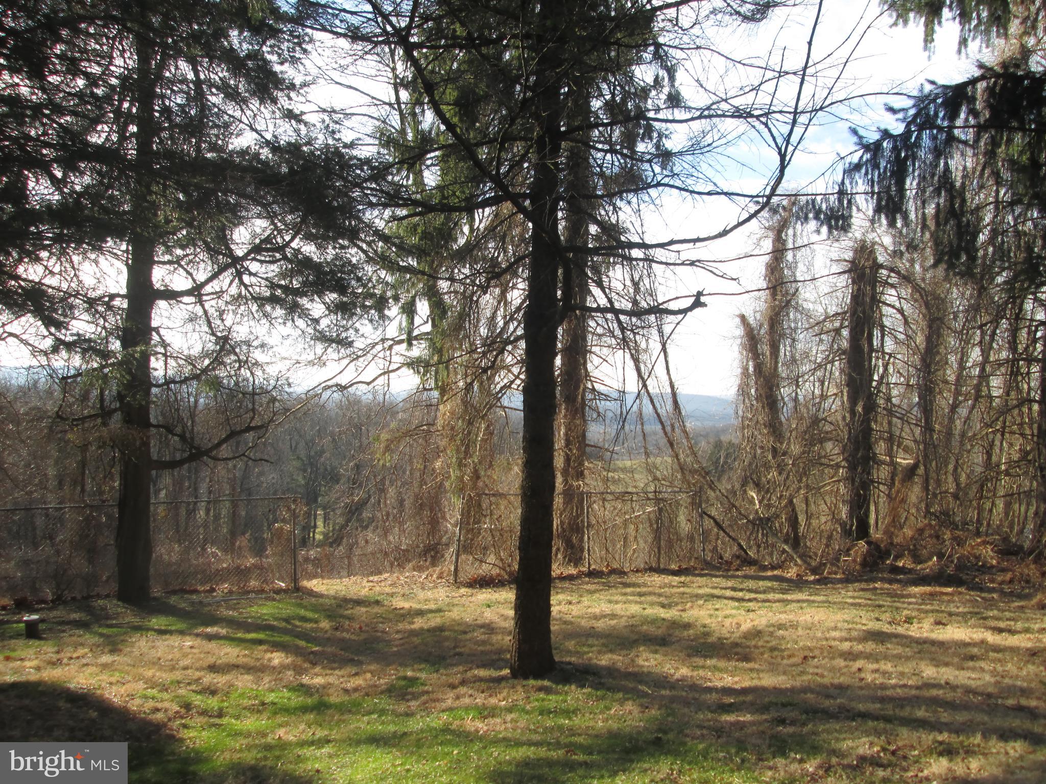 12 Club Road Wernersville, PA 19565 - Photo 19 of 27 side yard