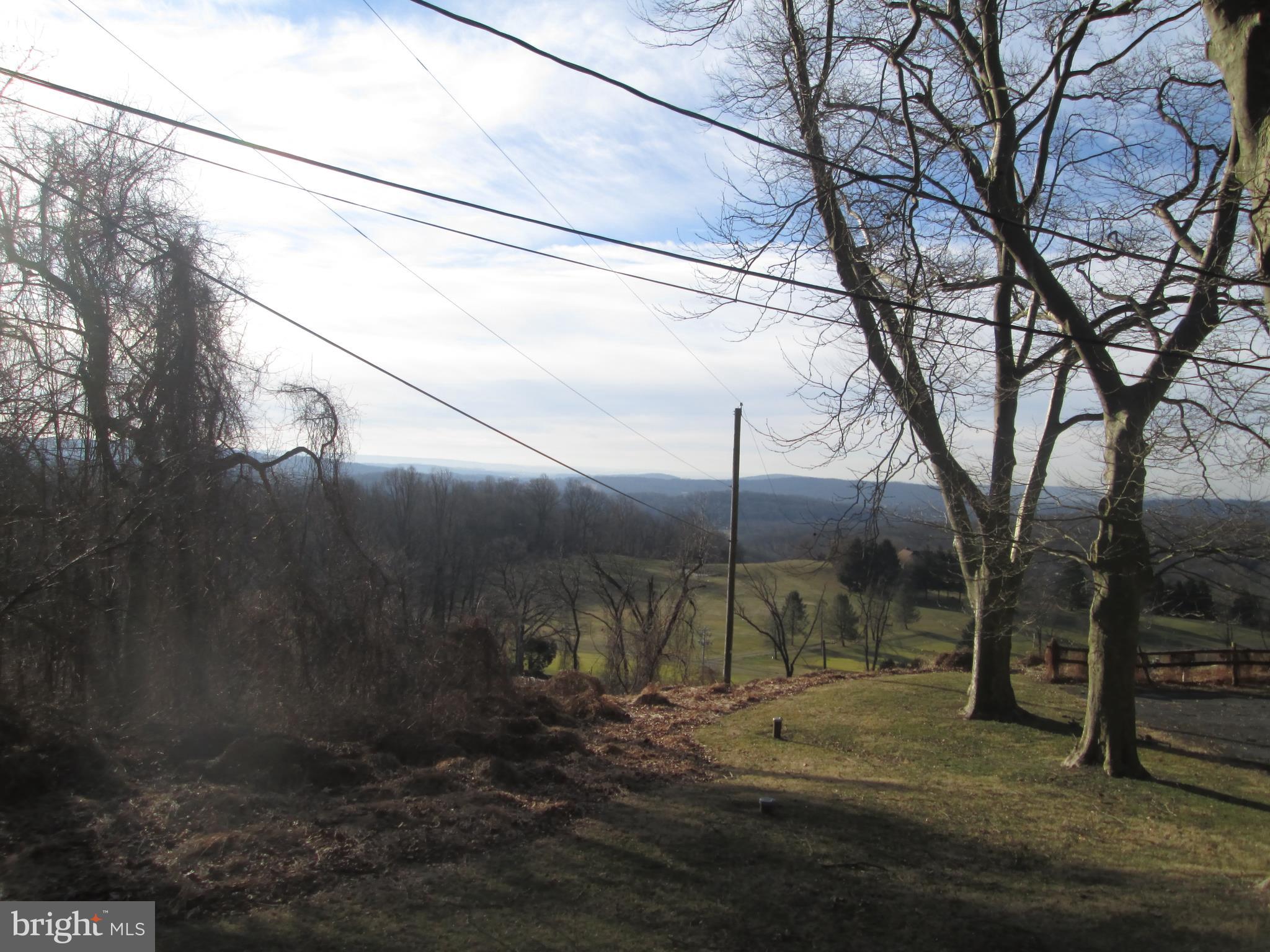 12 Club Road Wernersville, PA 19565 - Photo 20 of 27 side yard view