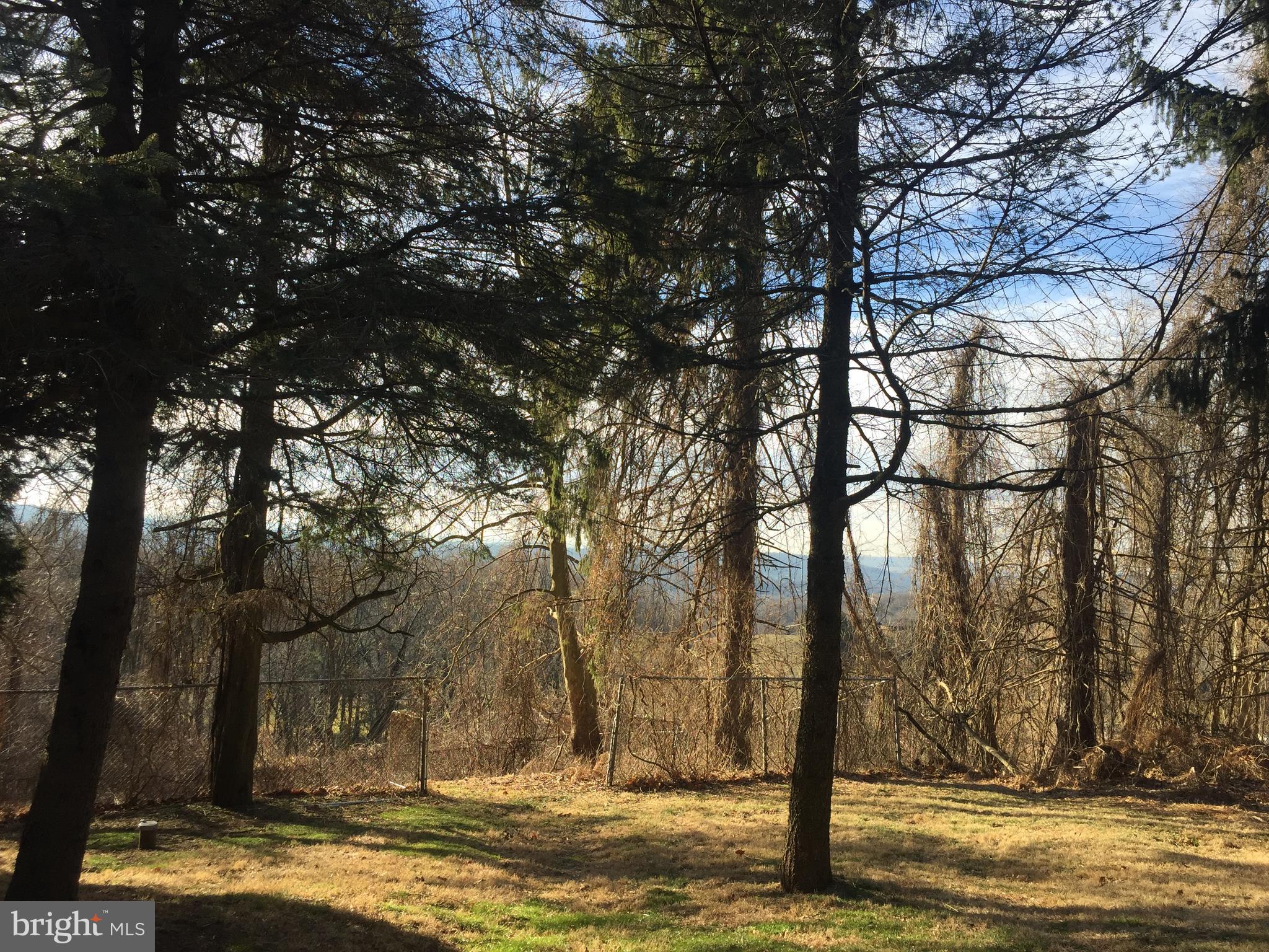 12 Club Road Wernersville, PA 19565 - Photo 6 of 27 View