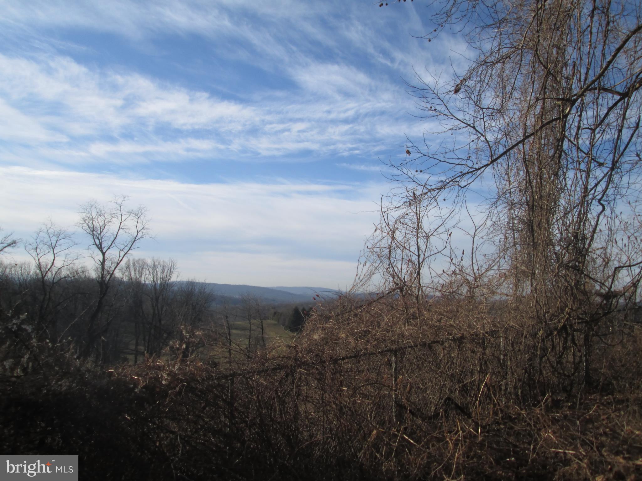 12 Club Road Wernersville, PA 19565 - Photo 9 of 27 view