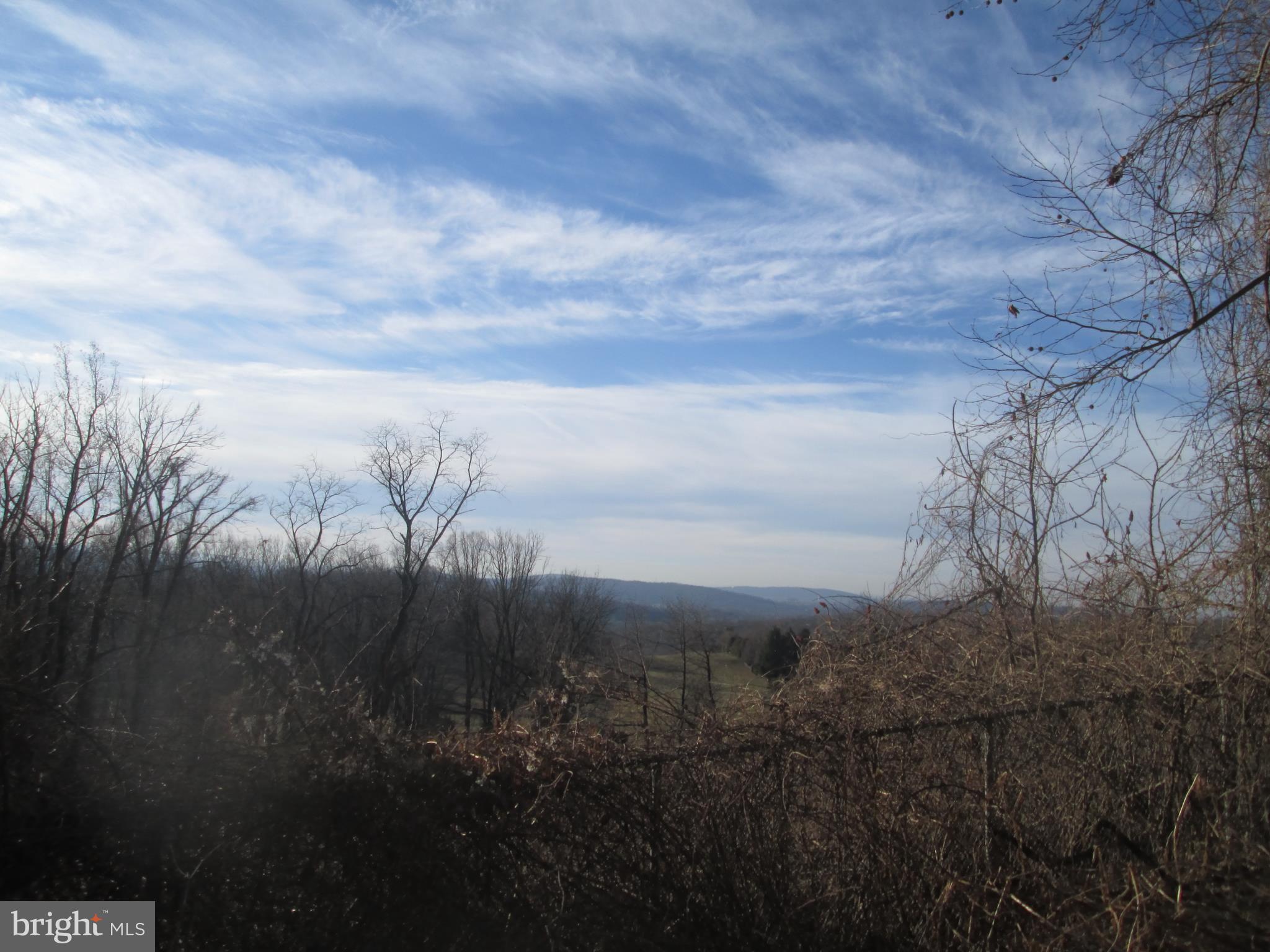 12 Club Road Wernersville, PA 19565 - Photo 10 of 27 View from deck