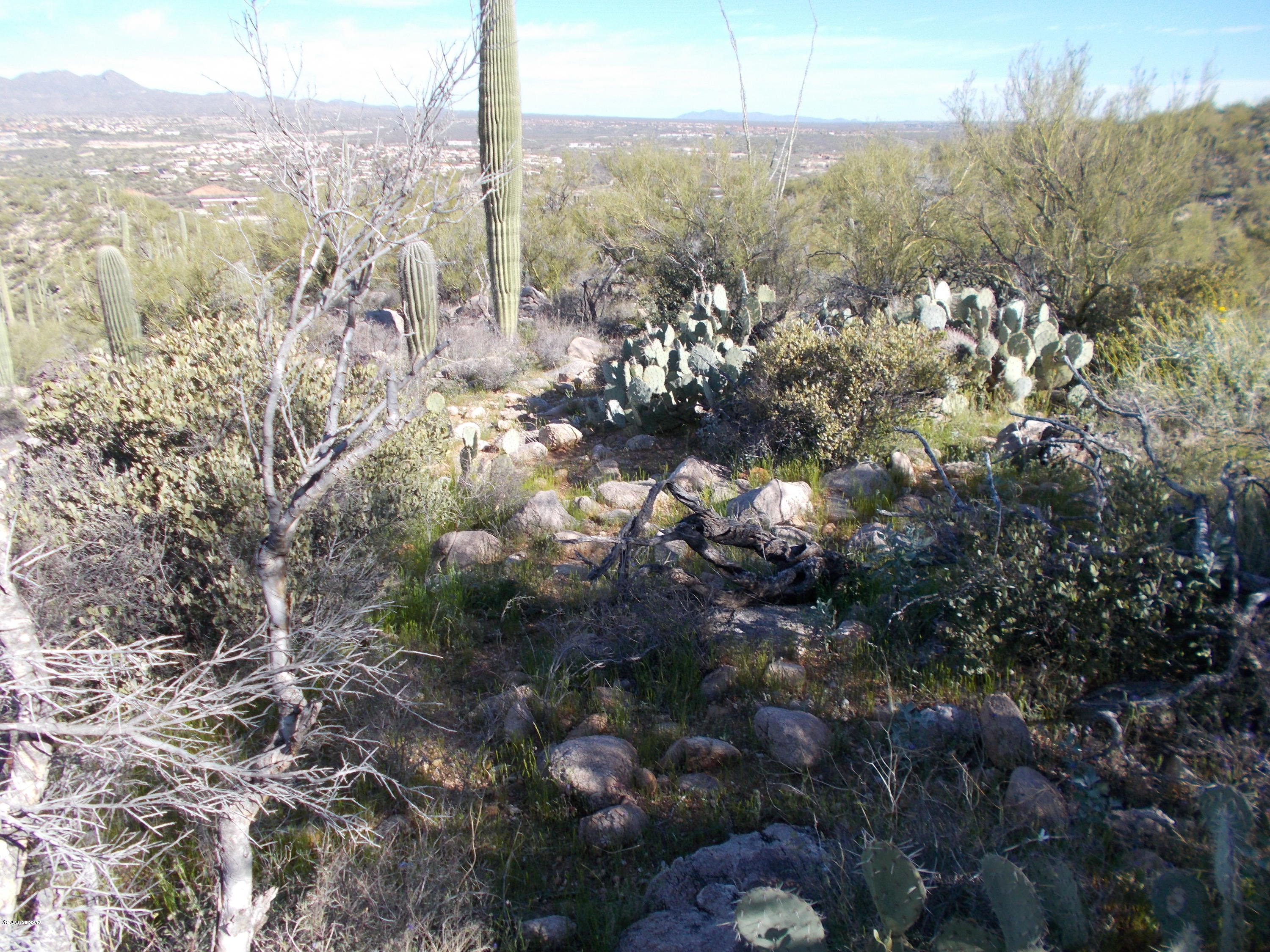 2280 Della Roccia Court, Unit 19 Oro Valley, AZ 85737 - Photo 13 of 20 a view of a city with lush green forest