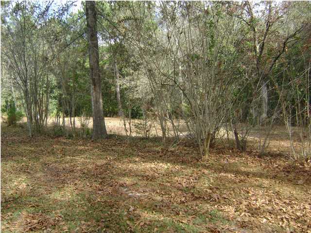 247 Miller Road DeFuniak Springs, FL 32435 - Photo 8 of 8 Additional Photo