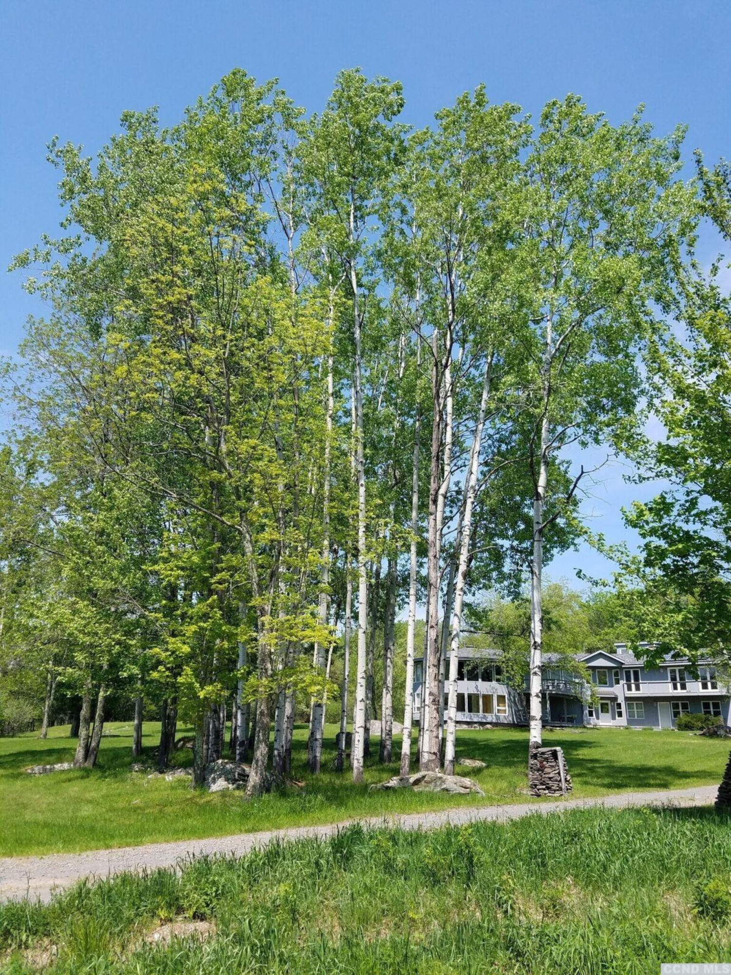5 Boulder Brook Road Windham, NY 12496 - Photo 7 of 10 Photo 7