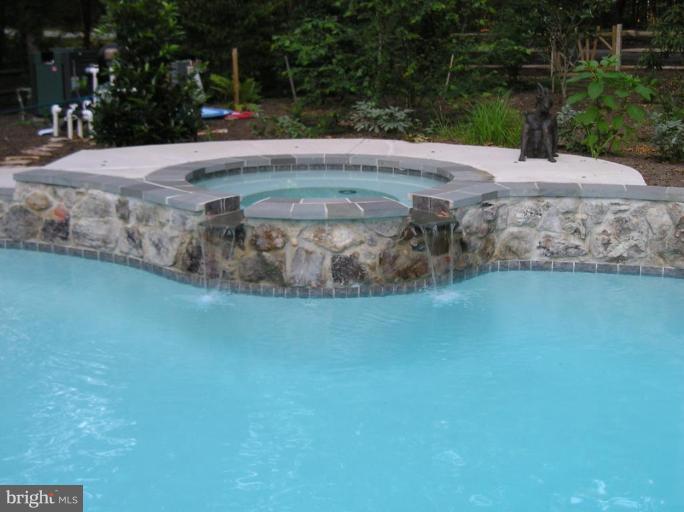 2415 Silver Fox Lane Reston, VA 20191 - Photo 5 of 30 Hot Tub