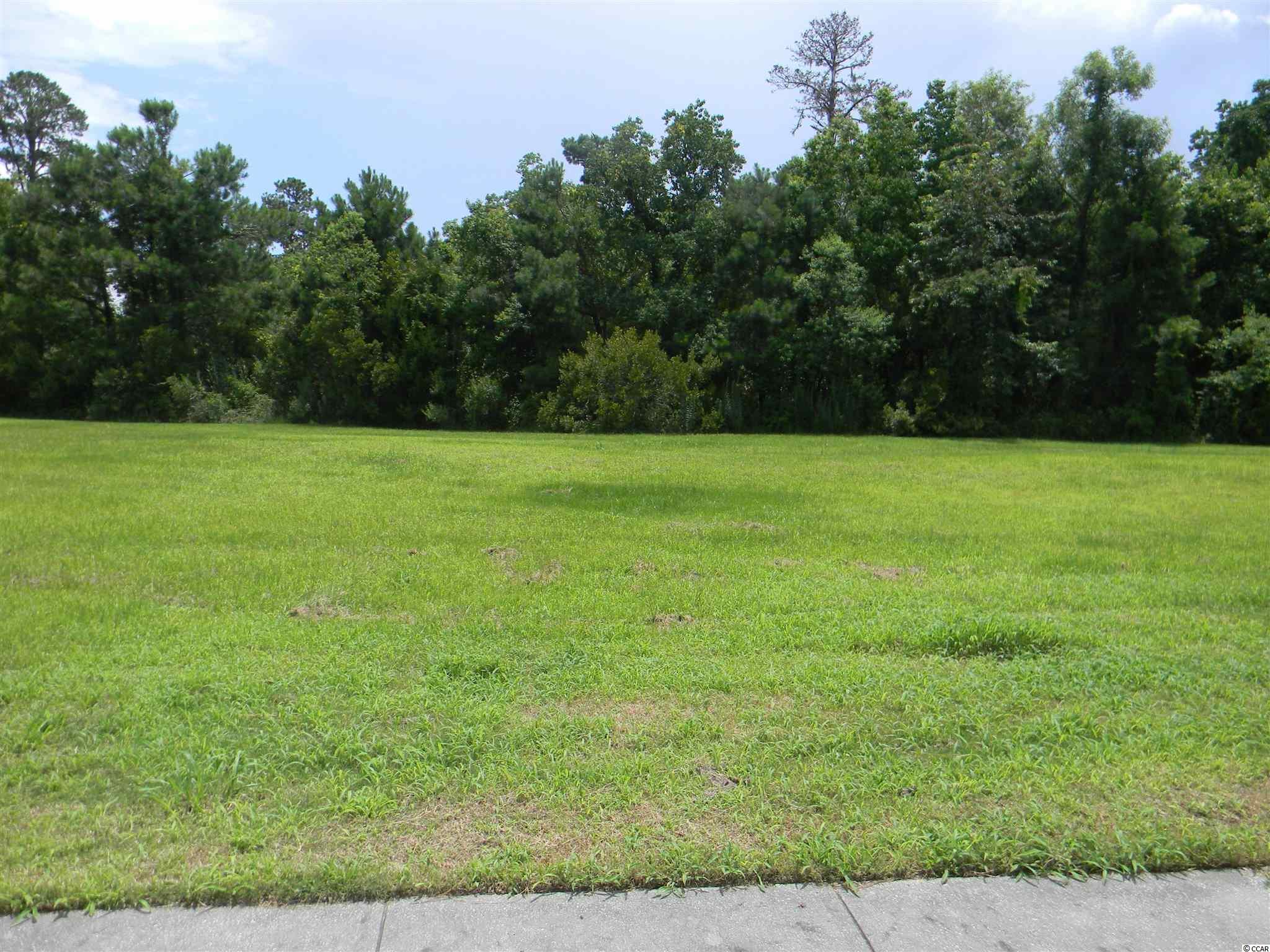 Lot 128 Oaklawn Road Georgetown, SC 29440 - Photo 1 of 26