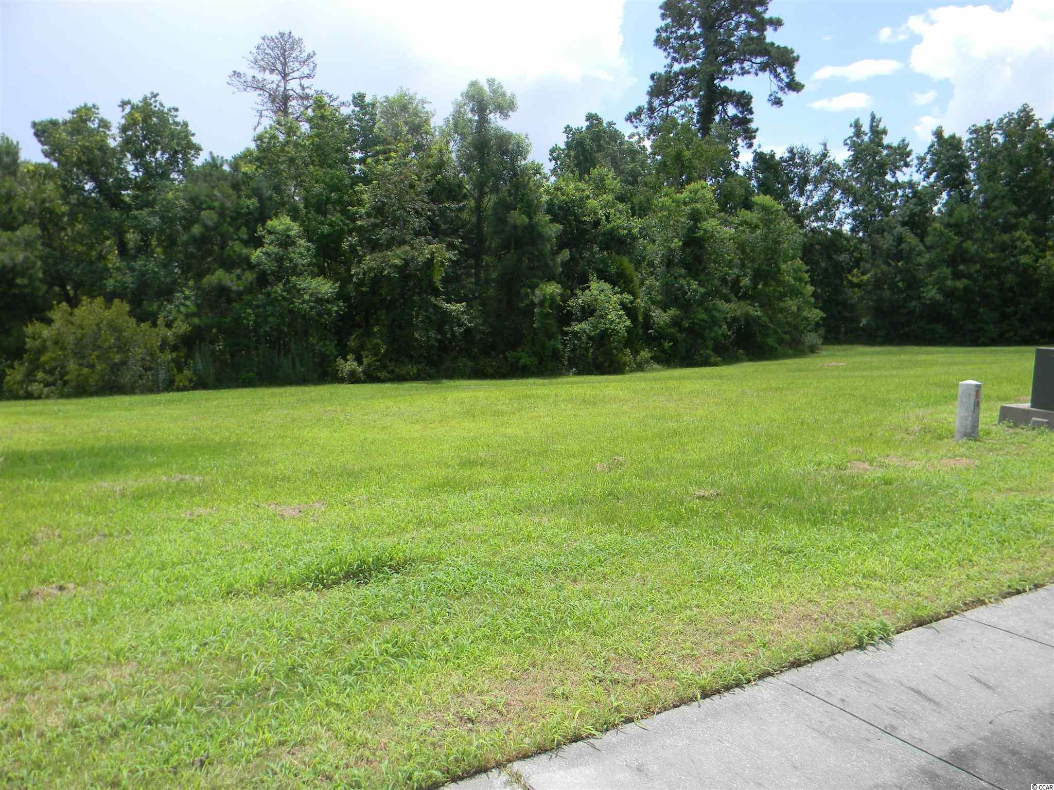 Lot 128 Oaklawn Road Georgetown, SC 29440 - Photo 2 of 26