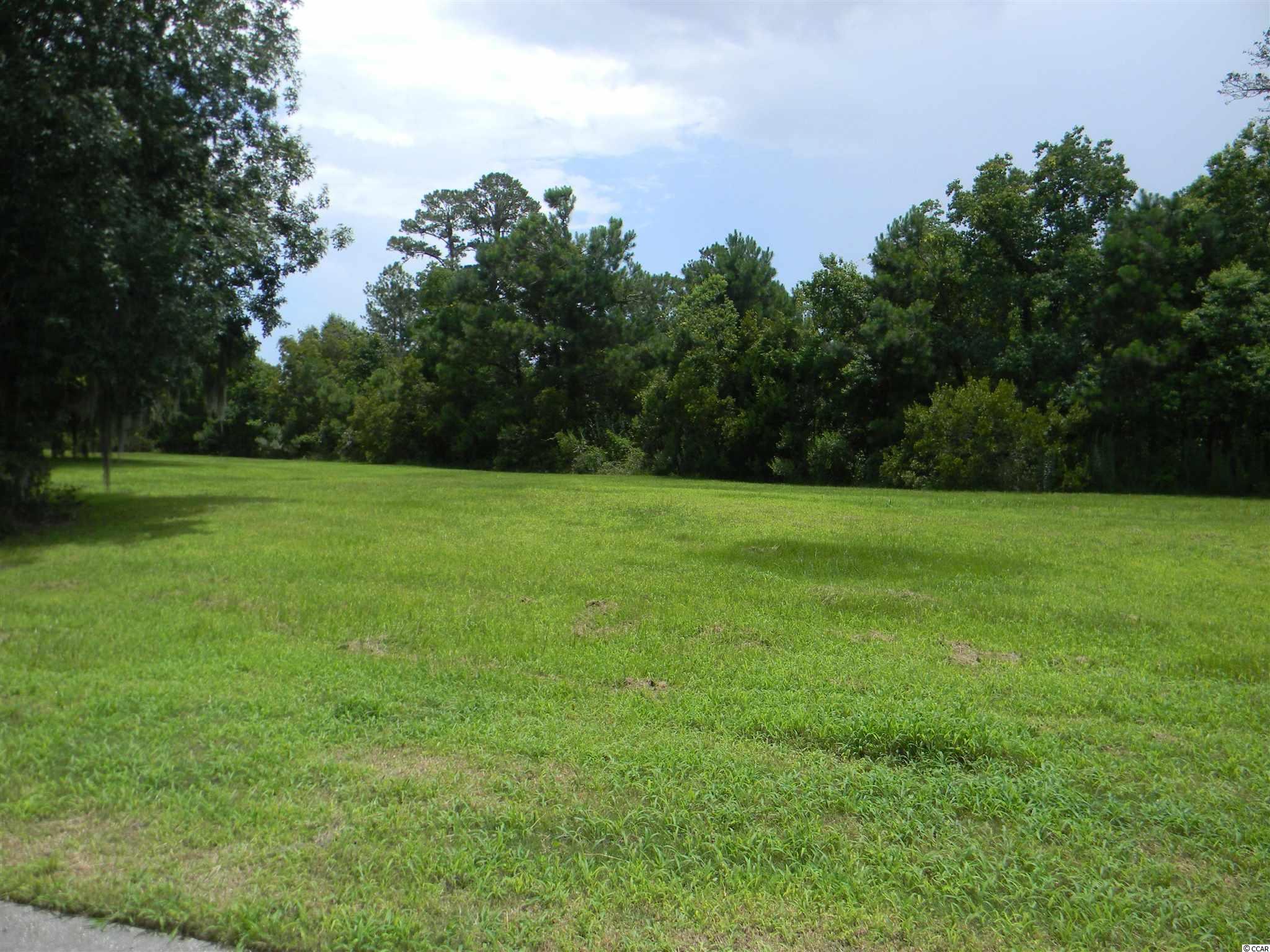 Lot 128 Oaklawn Road Georgetown, SC 29440 - Photo 3 of 26