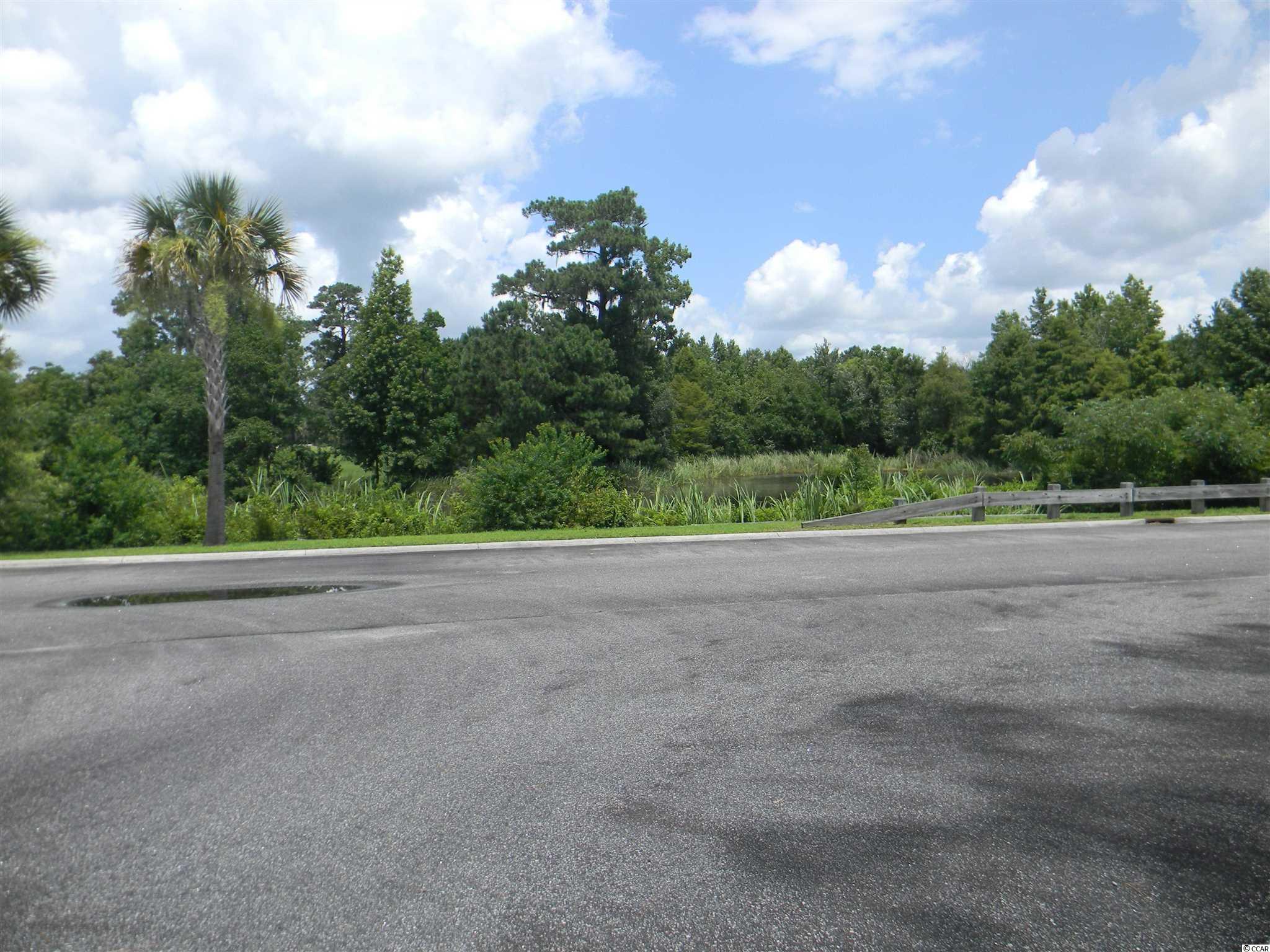 Lot 128 Oaklawn Road Georgetown, SC 29440 - Photo 4 of 26
