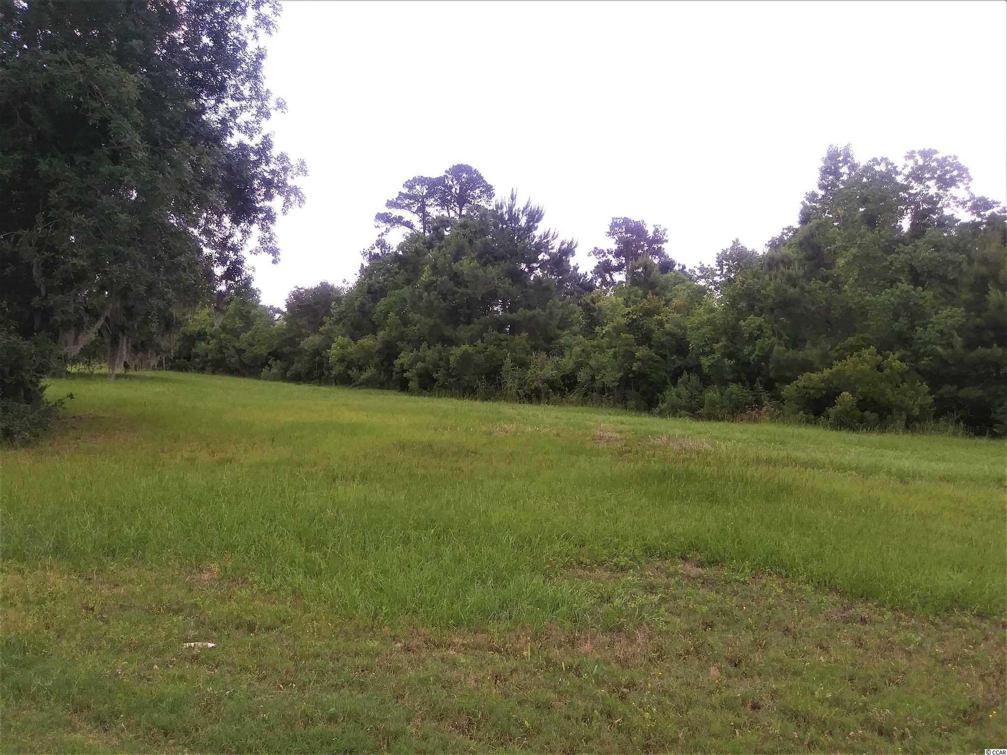Lot 128 Oaklawn Road Georgetown, SC 29440 - Photo 5 of 26