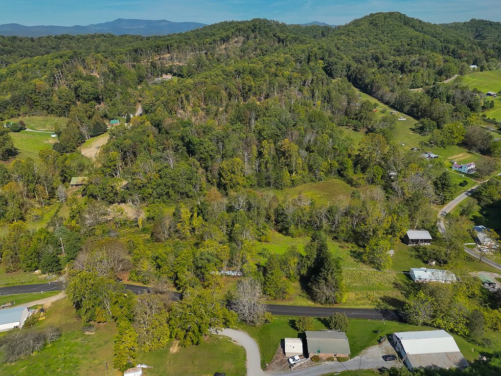 29041 Smyth Chapel Road Meadowview, VA 24361 - Photo 2 of 16 Gallery Image 2
