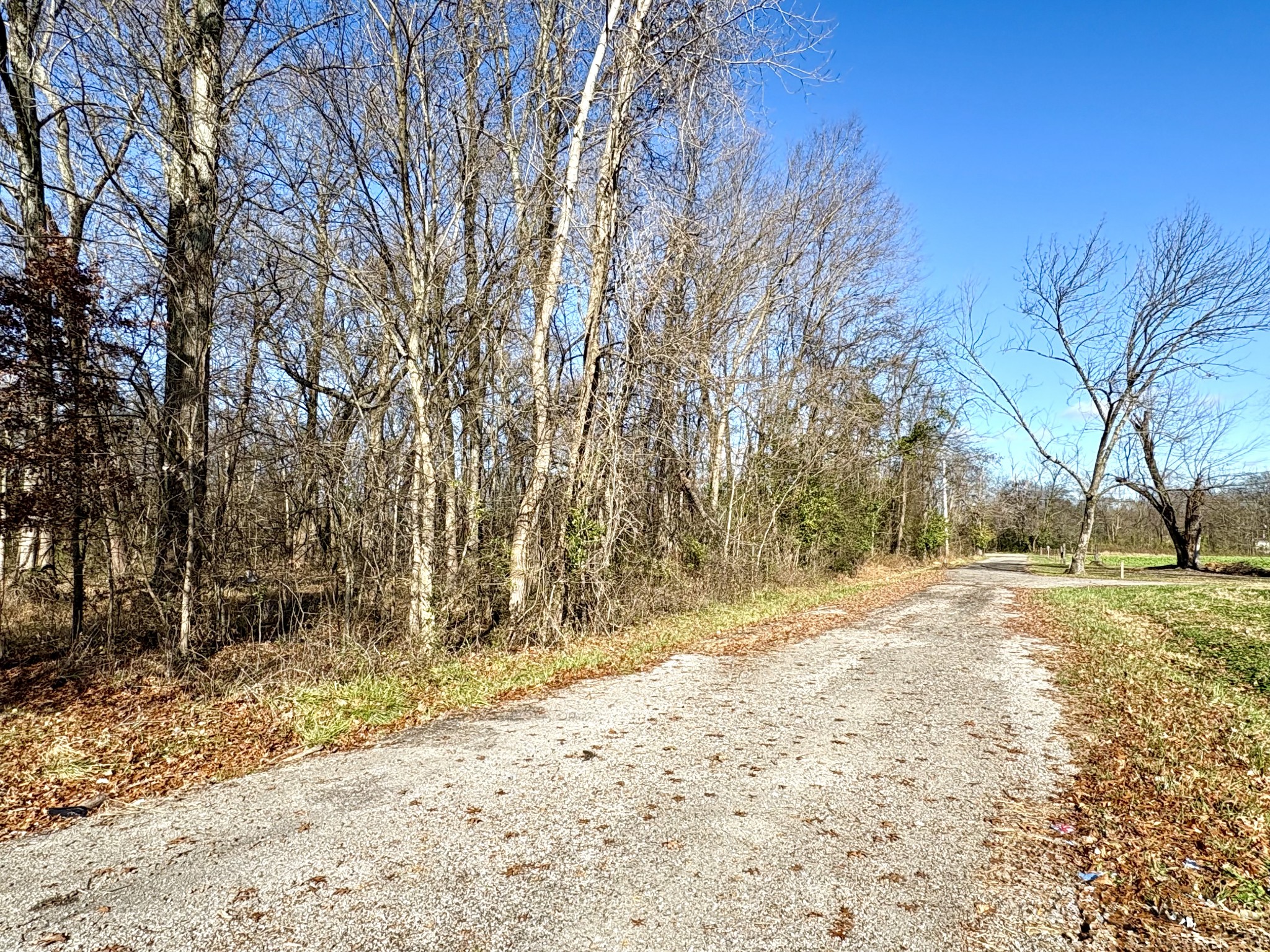 5148 Batchelor Street Clarksville, TN 37043 - Photo 2 of 3 a view of dirt yard with a large tree