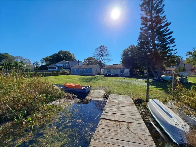 a view of a garden with a tree
