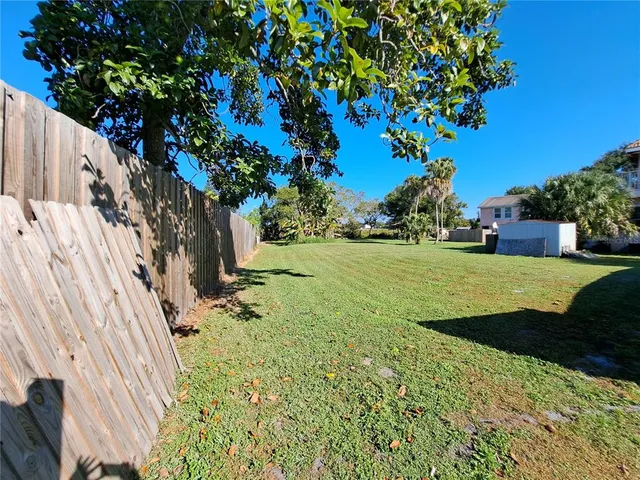 a view of a field with large trees