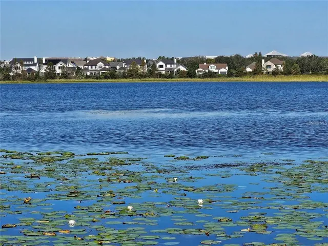 a view of swimming pool and an outdoor space