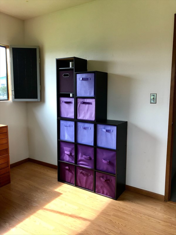 18-1196 Ana Road Mountain View, HI 96771 - Photo 22 of 25 a room with closet