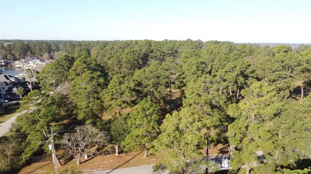 a view of a city with lush green forest