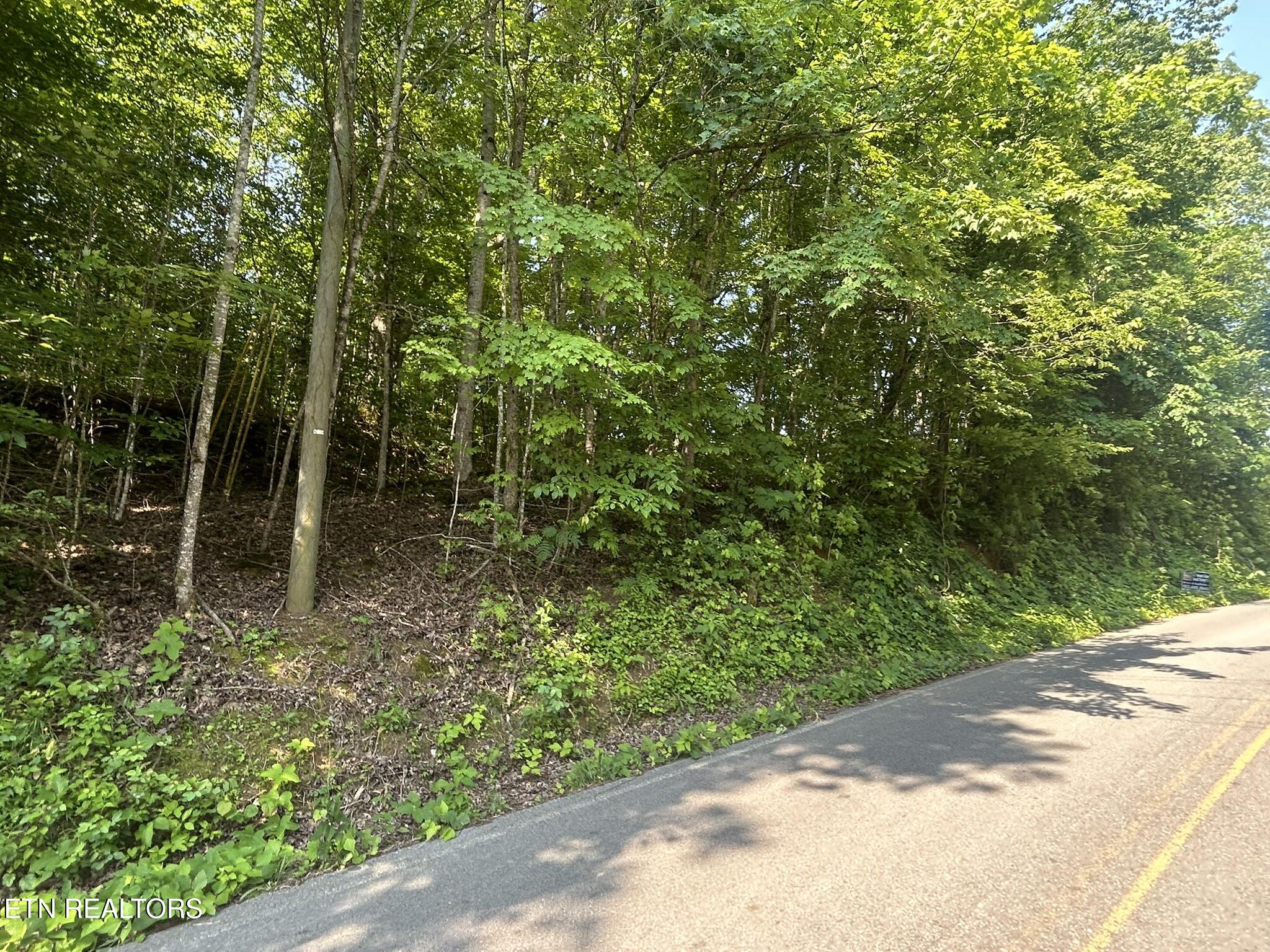 Laws Chapel Road Maryville, TN 37803 - Photo 2 of 5 IMG_2684