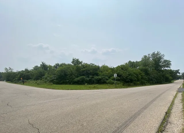 a view of a field with plants and trees in the background