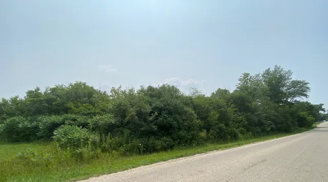 a view of a field with a tree in the background