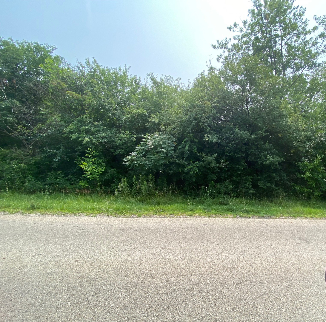 12535 West Blanchard Road Waukegan, IL 60087 - Photo 5 of 6 a view of outdoor space and yard