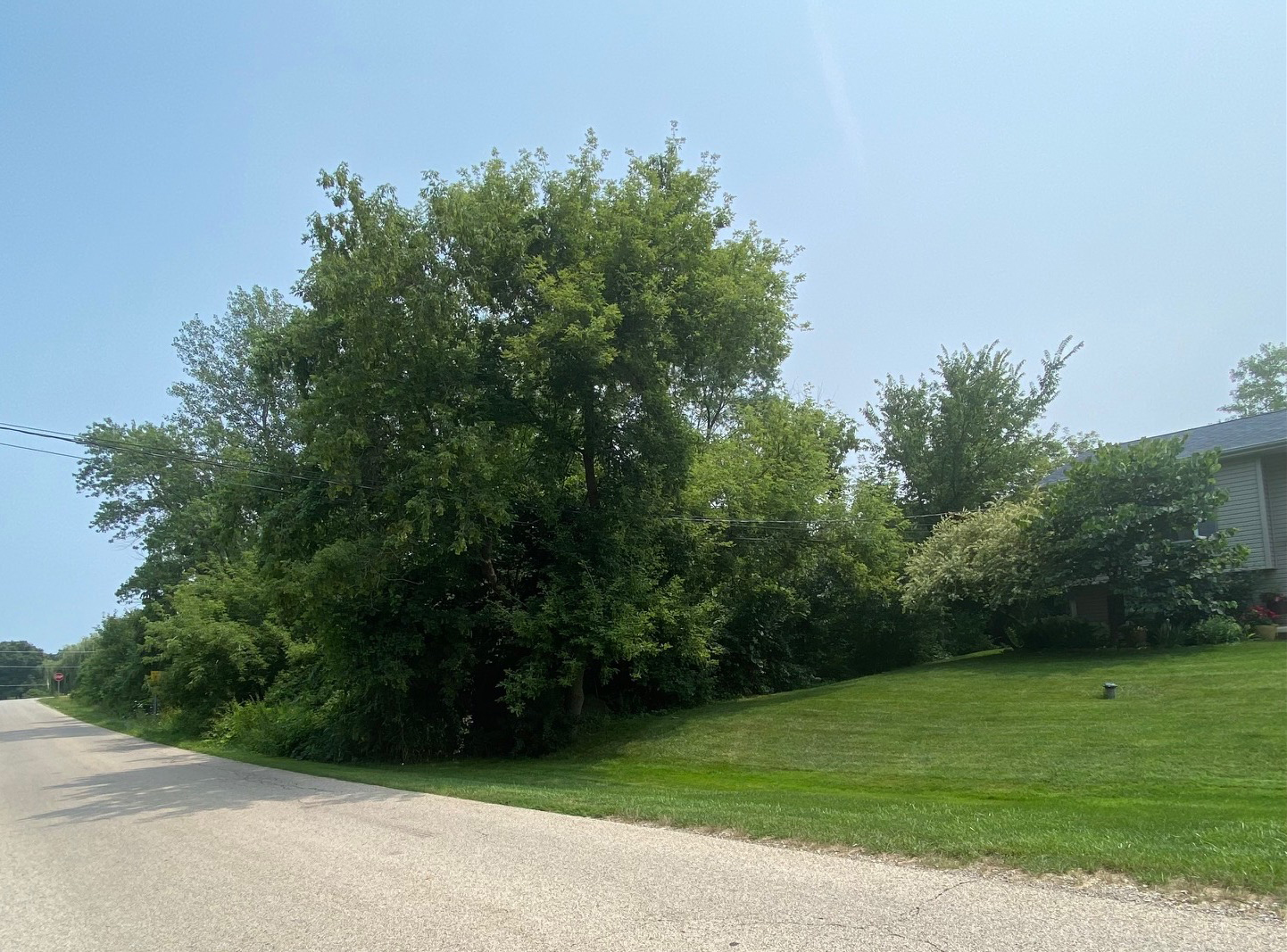 12535 West Blanchard Road Waukegan, IL 60087 - Photo 6 of 6 a view of a yard