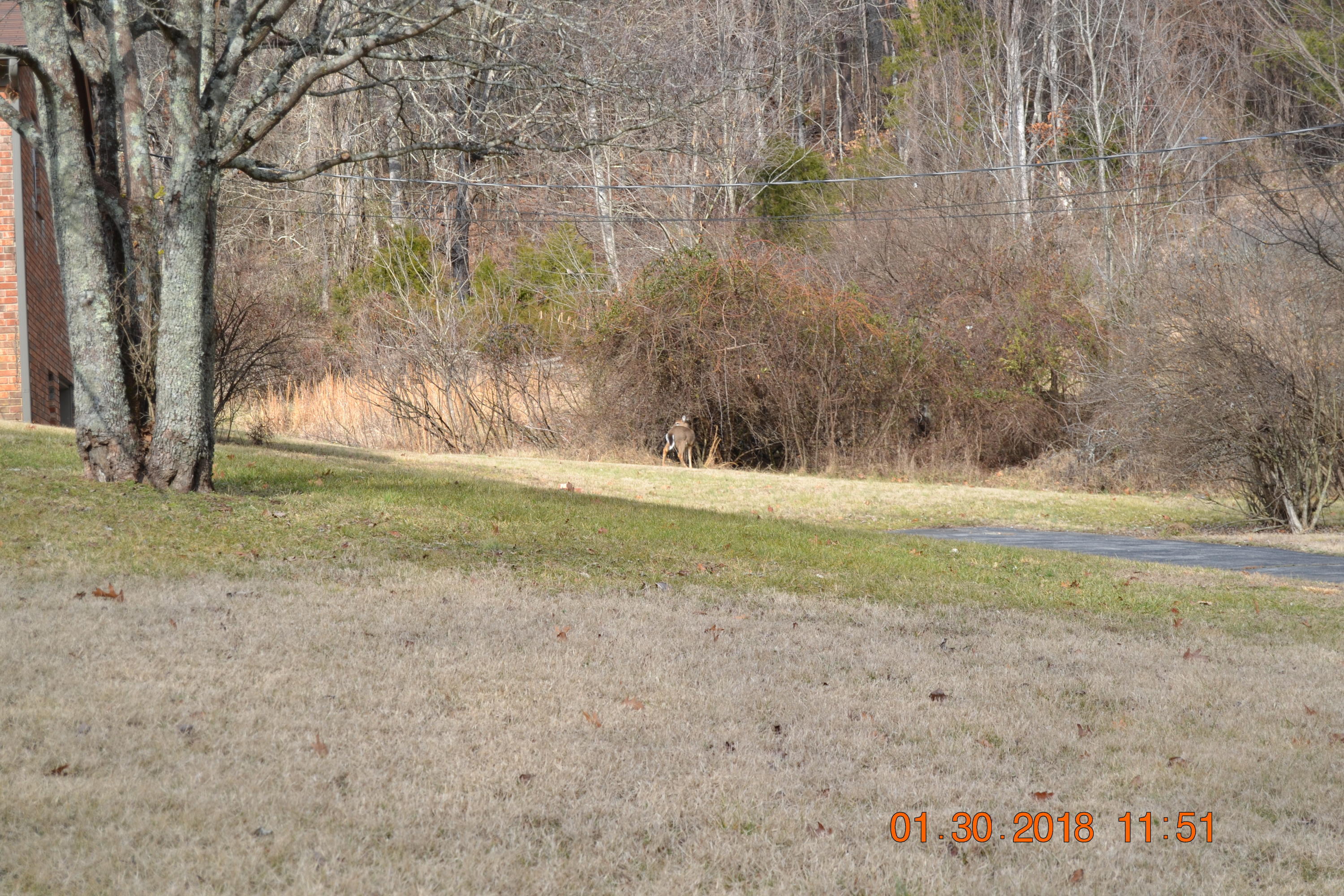 421 Macedonia Road Morristown, TN 37814 - Photo 3 of 23 DSC_0482