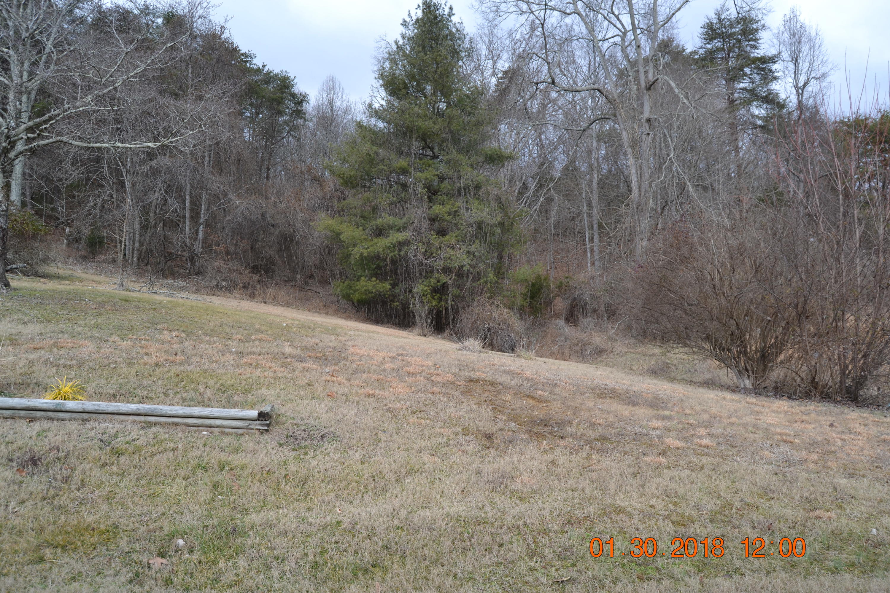 421 Macedonia Road Morristown, TN 37814 - Photo 22 of 23 DSC_0503