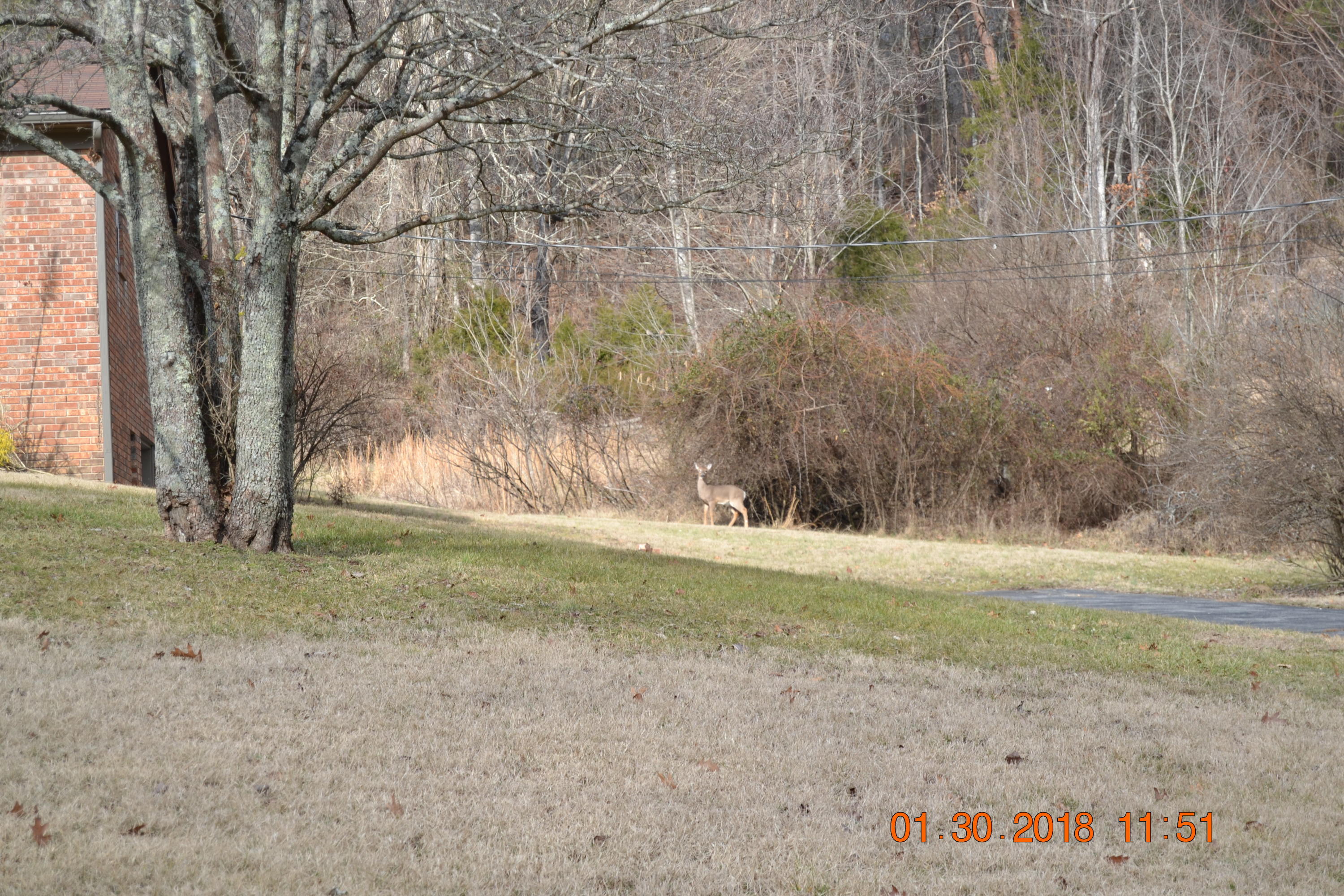 421 Macedonia Road Morristown, TN 37814 - Photo 4 of 23 DSC_0483