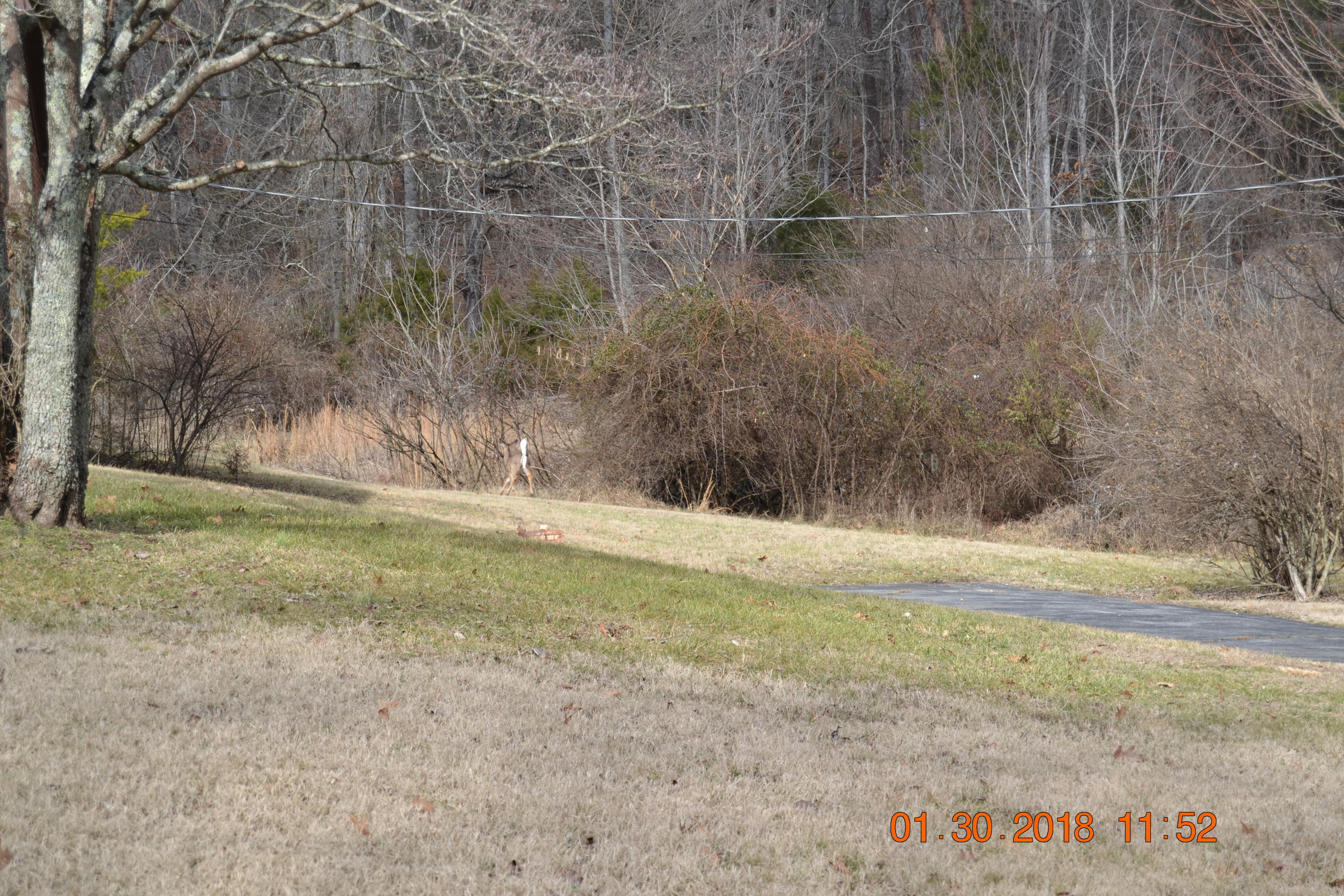421 Macedonia Road Morristown, TN 37814 - Photo 6 of 23 DSC_0485
