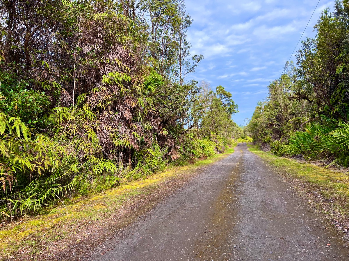 4 Ulua Lane Mountain View, HI 96771 - Photo 3 of 5 a view of a garden with plants and trees
