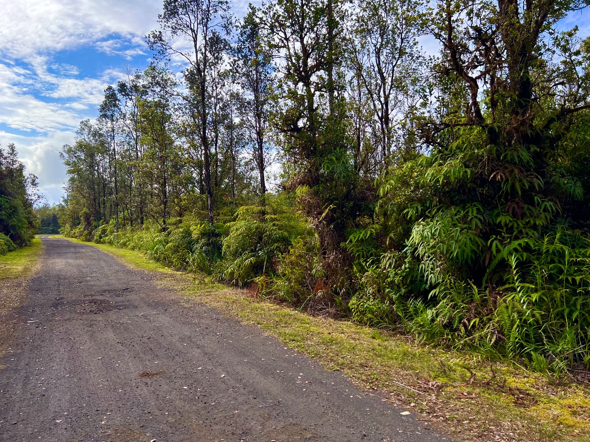 4 Ulua Lane Mountain View, HI 96771 - Photo 4 of 5 a view of a yard with plants and trees