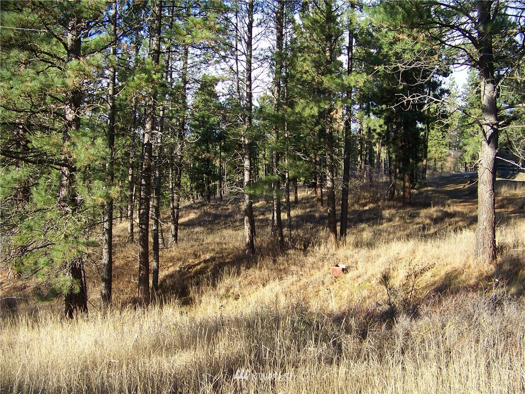 3 X Teanaway Road Cle Elum, WA 98922 - Photo 12 of 12 Gallery Image 12