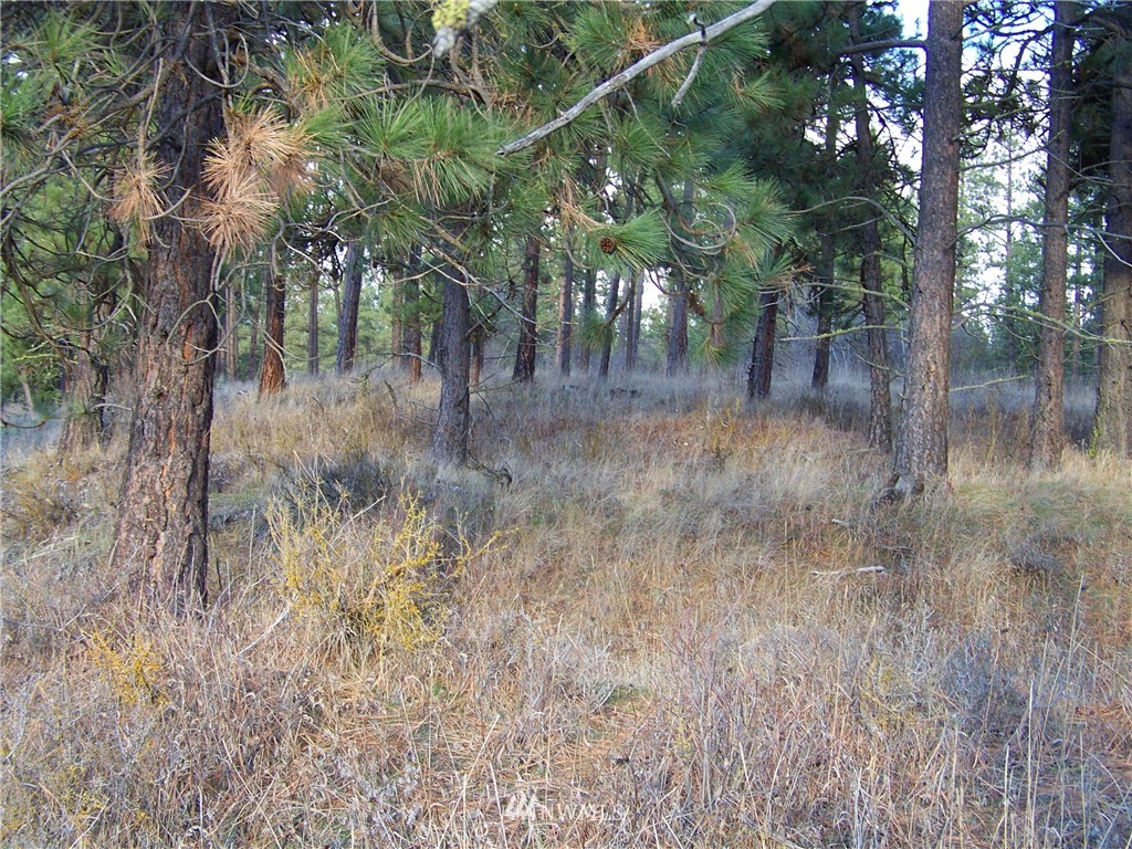 3 X Teanaway Road Cle Elum, WA 98922 - Photo 8 of 12 Gallery Image 8