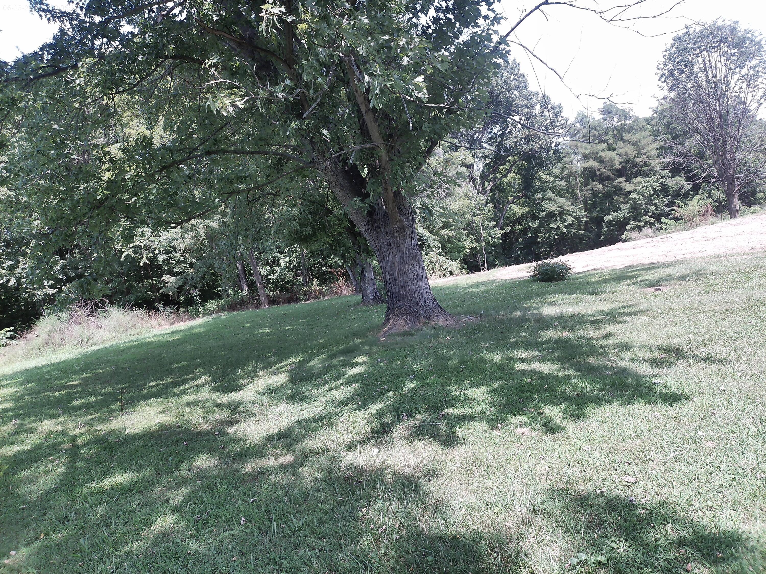 375 Moon Road Williamstown, KY 41097 - Photo 19 of 38 IMG-0278-A