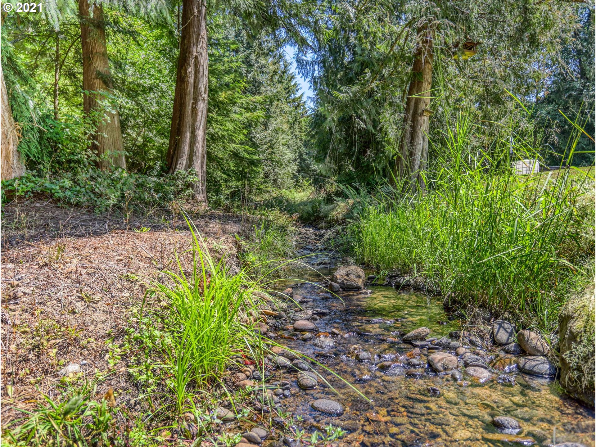 21070 Southeast Bornstedt Road Sandy, OR 97055 - Photo 22 of 31 a backyard of a house with lots of green space