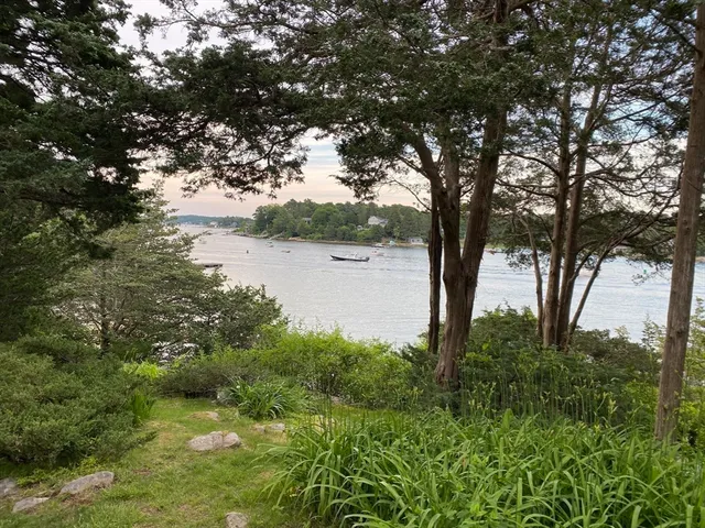 a view of lake with a tree