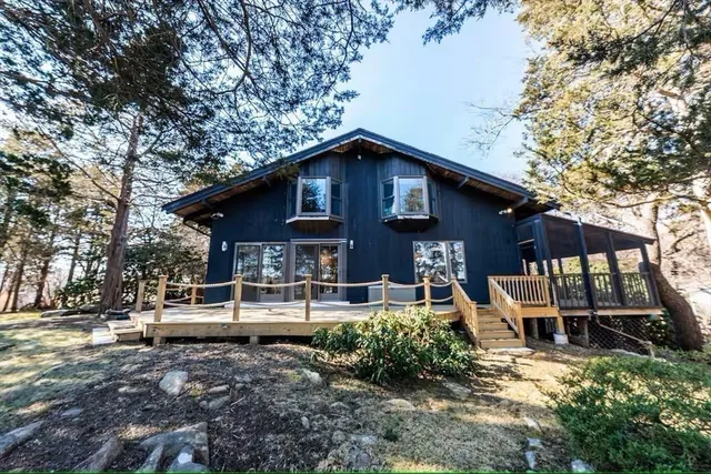 a view of a backyard with plants