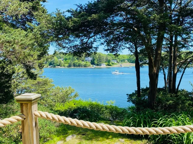 a view of a garden with large trees