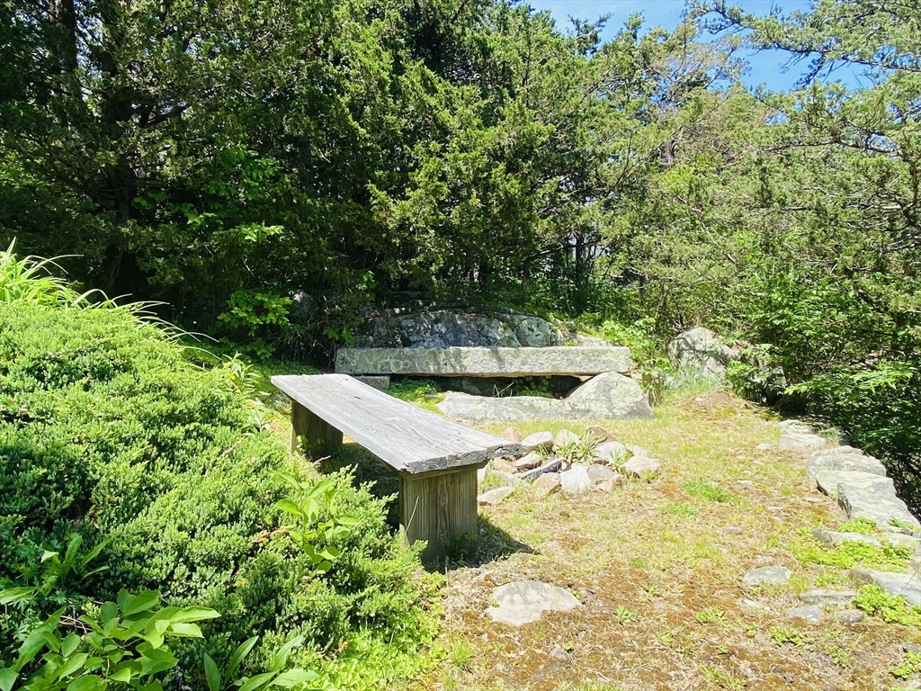 44 Ye Olde County Road Gloucester, MA 01930 - Photo 35 of 35 a view of a yard with plants