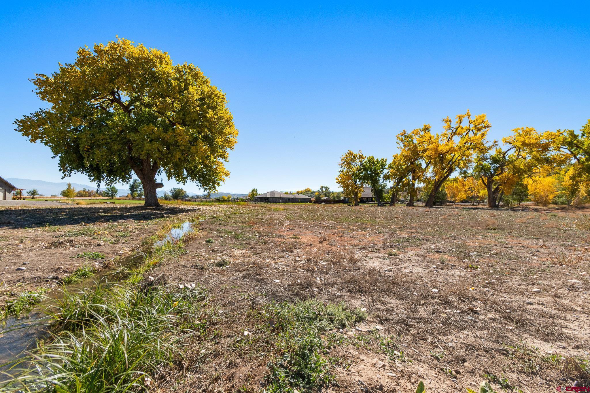 63242 Pearl Road Montrose, CO 81403 - Photo 6 of 14