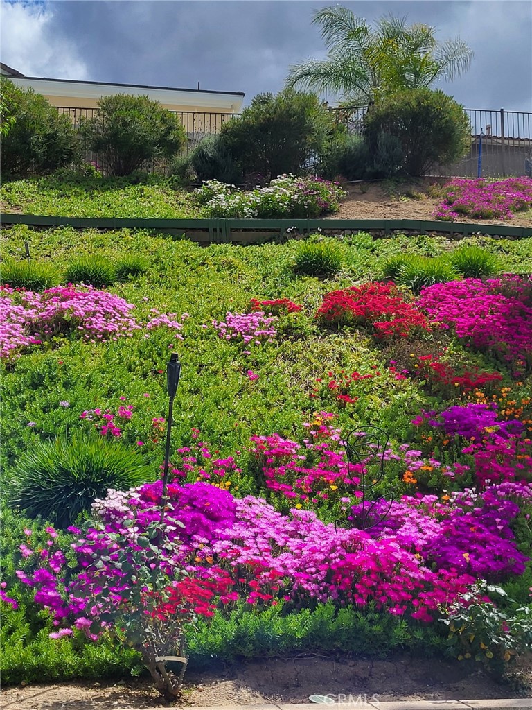 17115 Noble View Circle Riverside, CA 92503 - Photo 45 of 50 Backyard Sloop showing with Flowers .