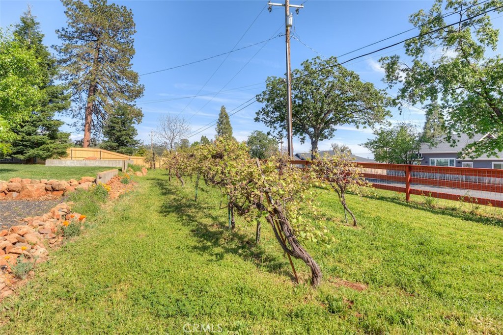 95 Sutter Road Paradise, CA 95969 - Photo 43 of 47 a view of a yard with wooden fence