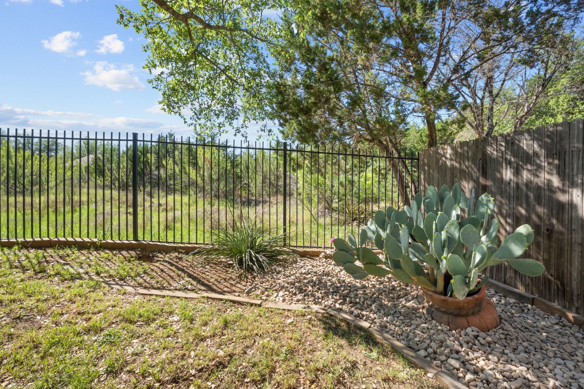 22204 Red Yucca Road Spicewood, TX 78669 - Photo 27 of 34 View of yard