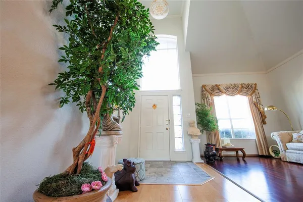 a living room with furniture and a potted plant