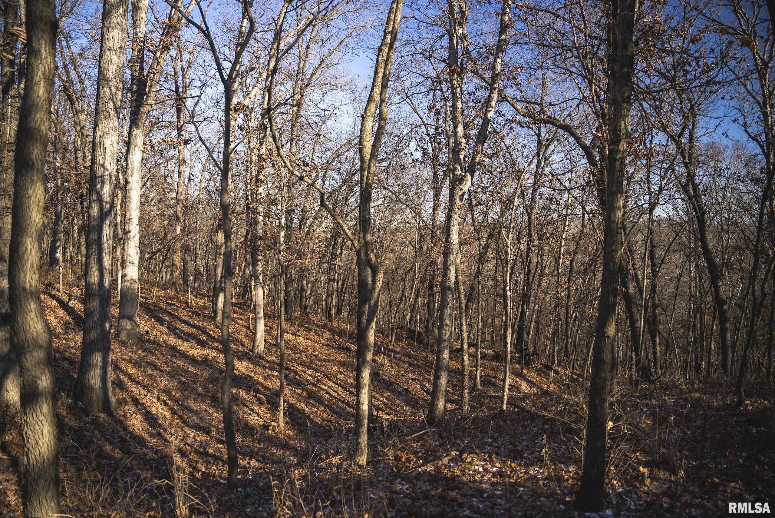 0 Williams Creek Road Augusta, IL 62311 - Photo 54 of 67